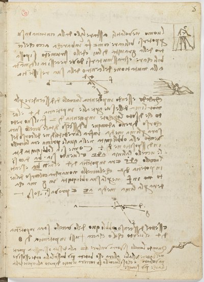 Birds Flight Code, Sheet 5 Recto by Leonardo da Vinci